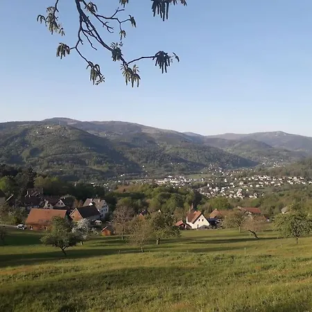 Maison De Charme 300m2 Haslach 15 Personnes Grande Salle A Manger - Belles Vues ! *
