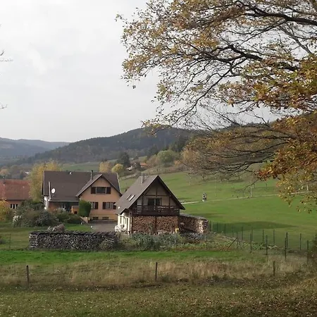 Belle Maison 300m2 - 8 Pieces Grand Sejour Salle A Manger - Cuisine Equipee - 15 Personnes - Vues Panoramiques ! * Munster (Haut-Rhin)