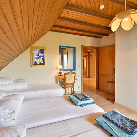 Maison de charme Haslach 300m2 Grand séjour 15 personnes - Belles vues !